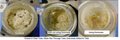 Drain Cleaner  Grease Trap Cleaner  Drainmate Super Digestant  1 GALLON