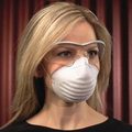 Dust Mask